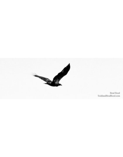 Raptor - Panoramic