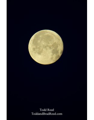 Winter Moon