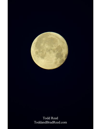 Winter Moon