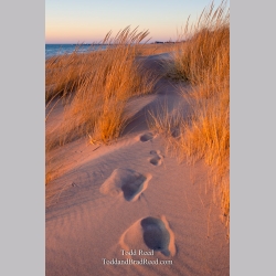 Golden Path