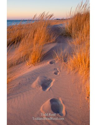 Golden Path