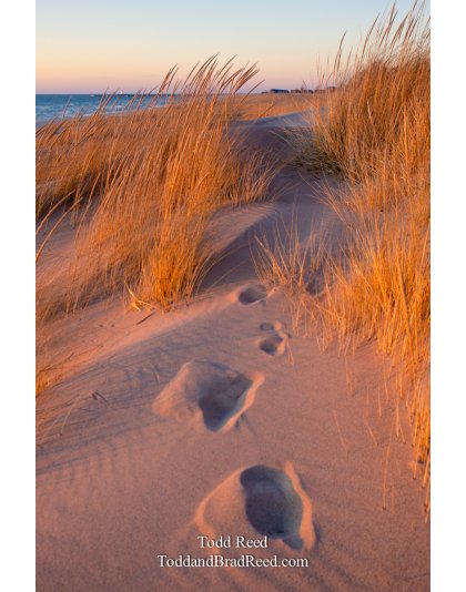 Golden Path