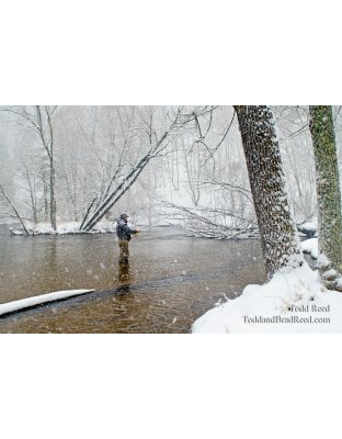 Fishermans Fairy Tale