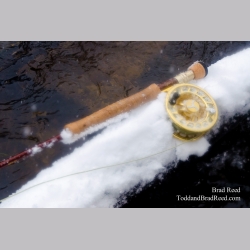 Fly Rod