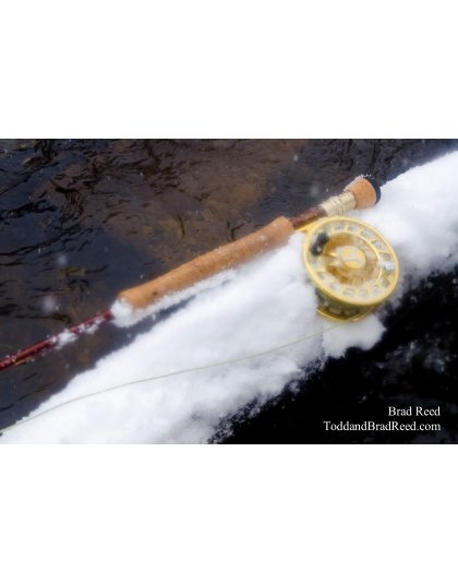 Fly Rod