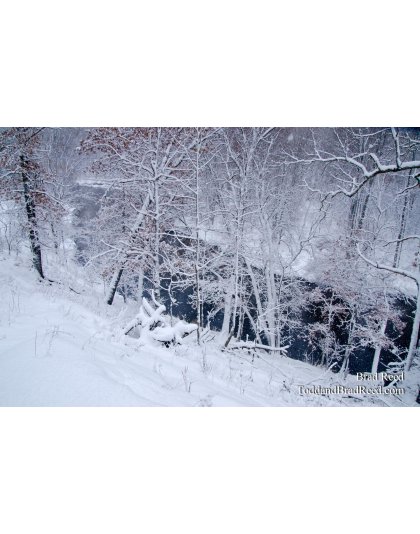 Snow Covered Bliss