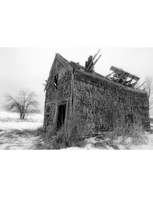 Old Man Winter