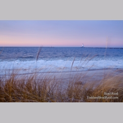 Soft Morning Light