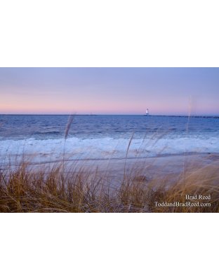Soft Morning Light