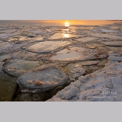 Icy World