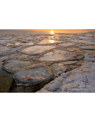 Icy World