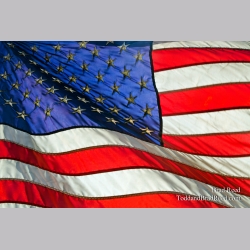 America\'s Pride