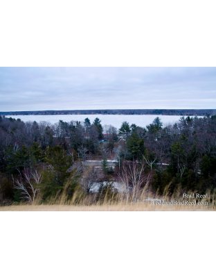 Piney Ridge