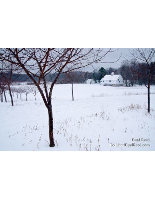Cherry Basket Farm