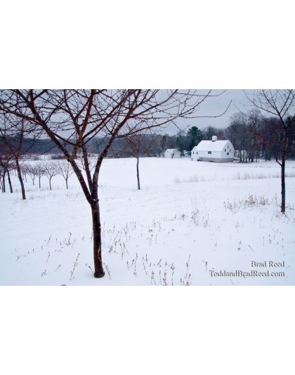 Cherry Basket Farm