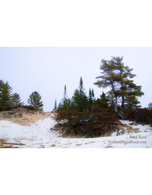 Michigan Wilderness