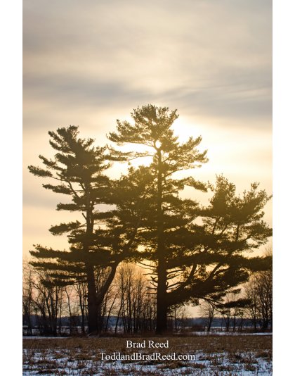Carries Sunrise