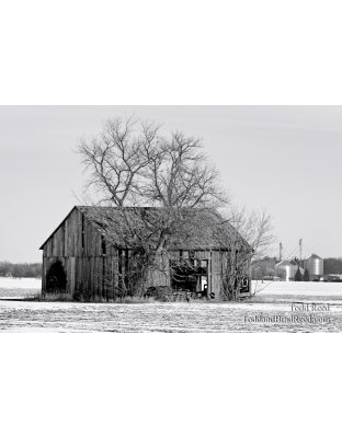 Country Contrasts