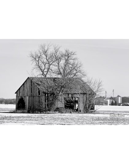 Country Contrasts