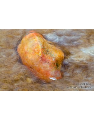 Rock Art
