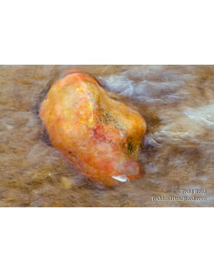 Rock Art