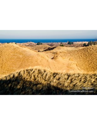 Porcupine Dune