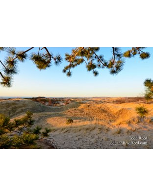 Dunes Overlook