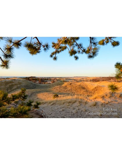 Dunes Overlook