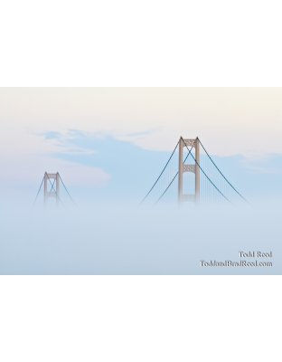 Mackinac Sculptures