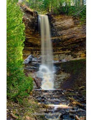 Tall Fall