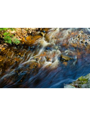 Old Man River