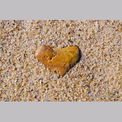 Rock of Love