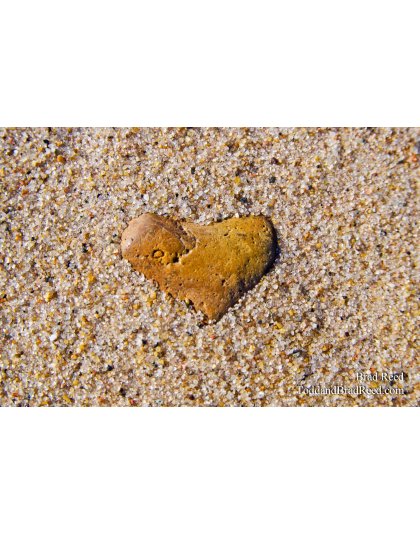 Rock of Love