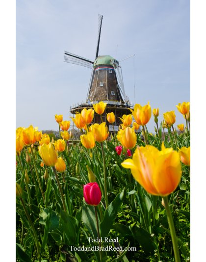 Holland Icons