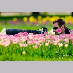 Flower Power