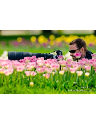 Flower Power