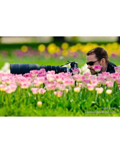Flower Power