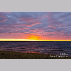 manistee Afterglow