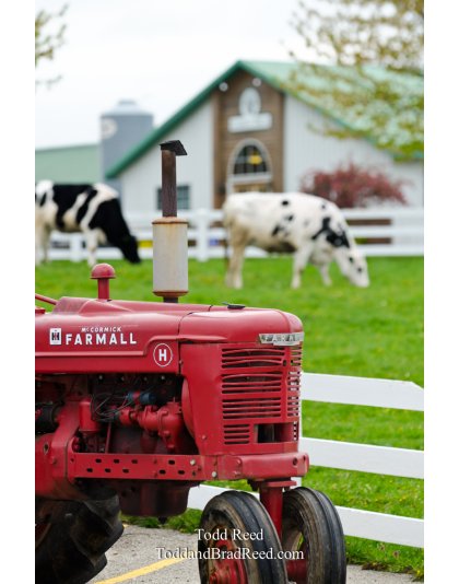 Country Dairy