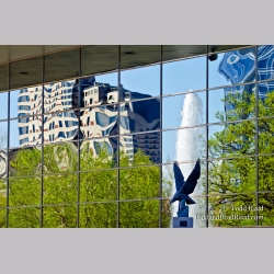 Reflecting Grand Rapids