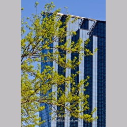 Urban Designs
