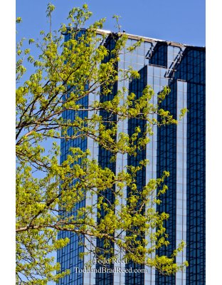 Urban Designs