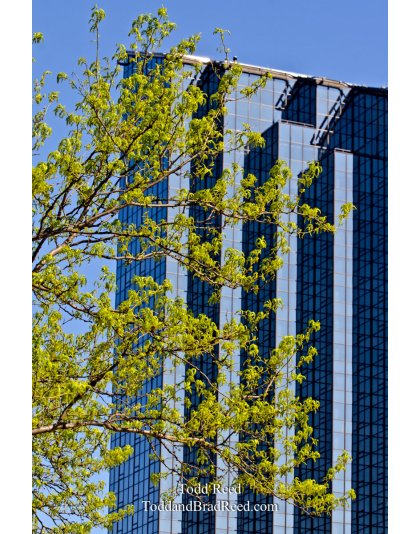 Urban Designs