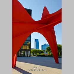 Calder\'s Eye View