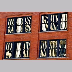 Window Art