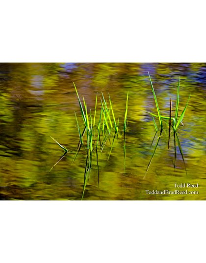 Ripple Creek
