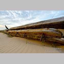 Shipwreck Ashore