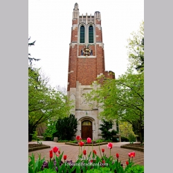 MSU Centerpiece