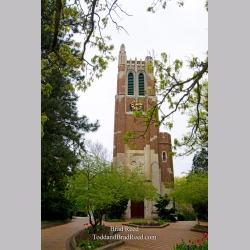 Beautiful Beaumont Tower