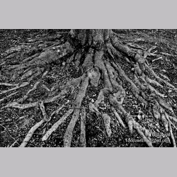 Reaching Out